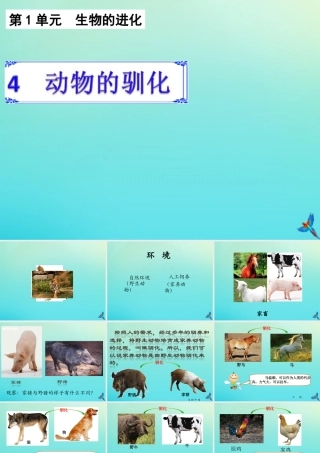 六年级科学下册 第1单元 生物的进化 1.4 动物的驯化课件 （新版）湘科版-人教版小学六年级下册自然科学课件