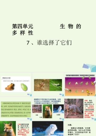 六年级科学上册 4.7 谁选择了它们课件4 教科版-教科版小学六年级上册自然科学课件