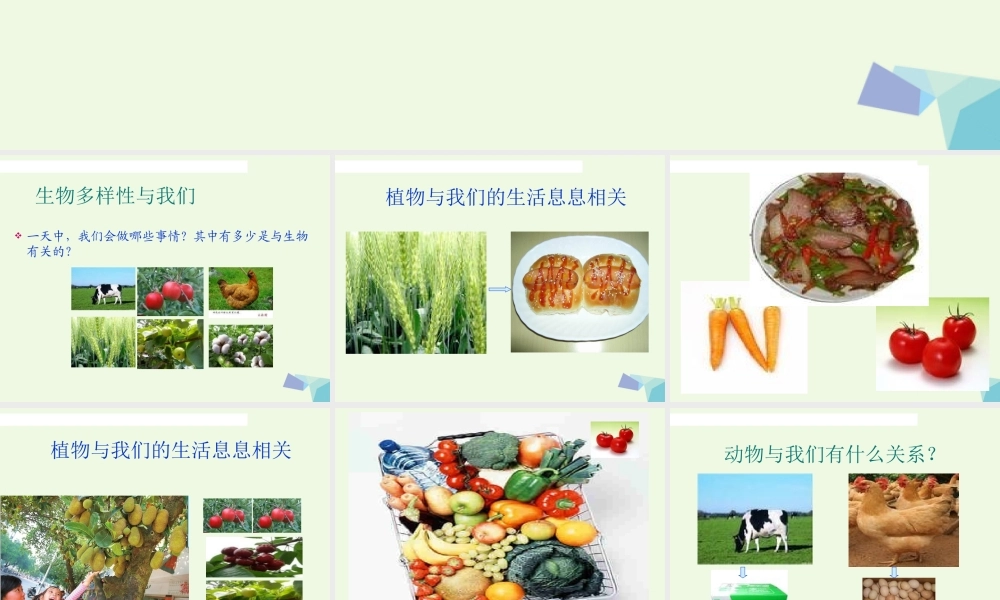 六年级科学上册 4.8 生物多样性的意义课件1 教科版-教科版小学六年级上册自然科学课件