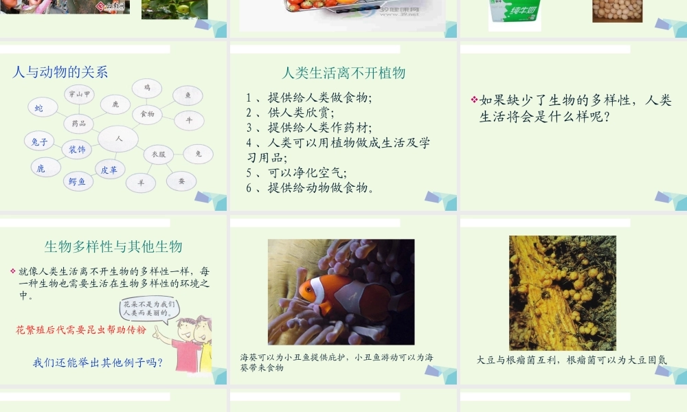 六年级科学上册 4.8 生物多样性的意义课件1 教科版-教科版小学六年级上册自然科学课件