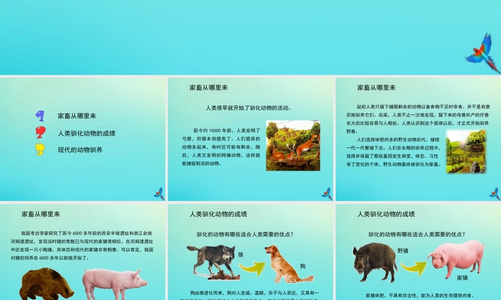 六年级科学下册 第1单元 生物的进化 1.4 动物的驯化课件 （新版）湘科版-人教级下册自然科学课件