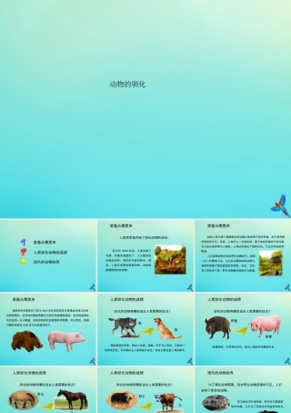 六年级科学下册 第1单元 生物的进化 1.4 动物的驯化课件 （新版）湘科版-人教级下册自然科学课件