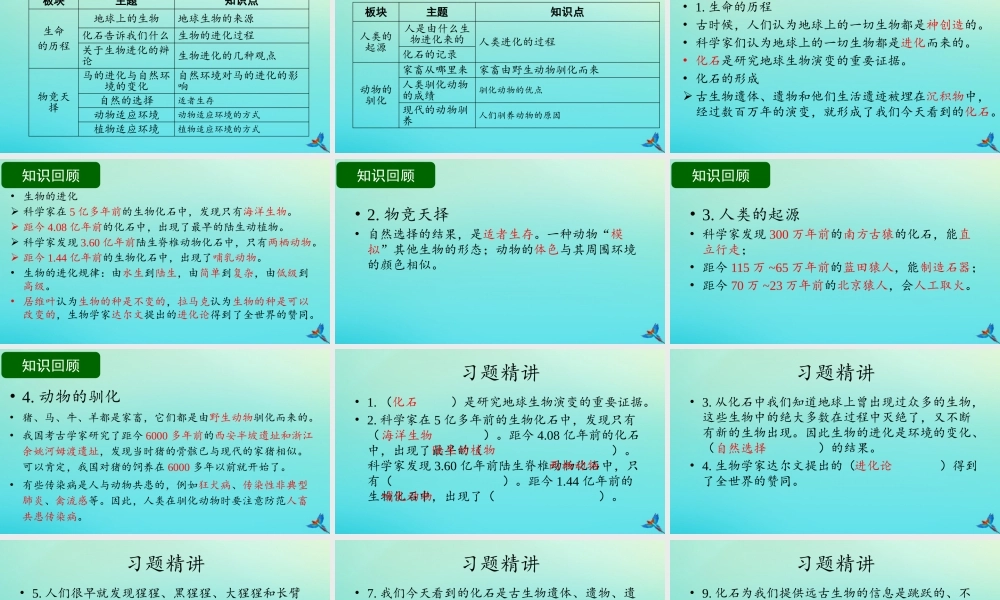 六年级科学下册 第1单元 生物的进化复习课件 （新版）湘科版-人教版小学六年级下册自然科学课件