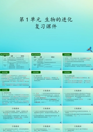 六年级科学下册 第1单元 生物的进化复习课件 （新版）湘科版-人教版小学六年级下册自然科学课件