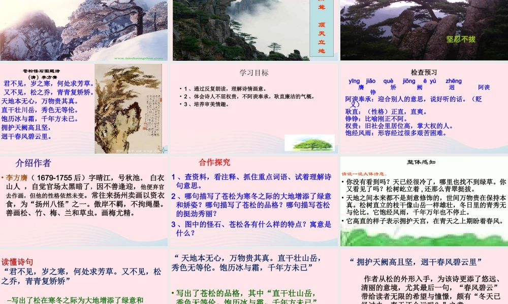 六年级语文上册 8.3 苍松怪石图题诗课件2 北师大版-北师大版小学六年级上册语文课件