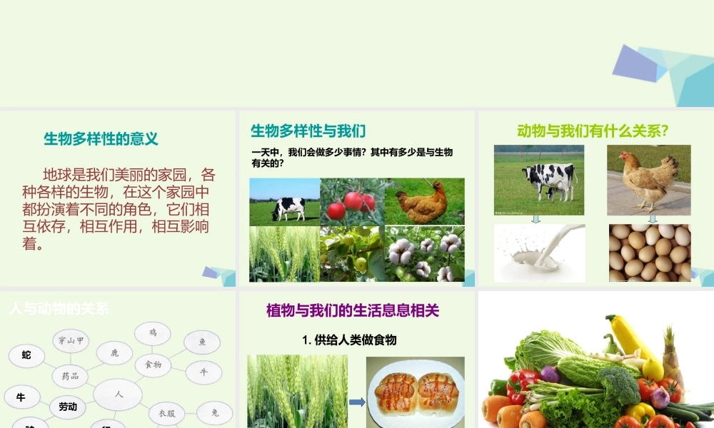 六年级科学上册 4.8 生物多样性的意义课件2 教科版-教科版小学六年级上册自然科学课件
