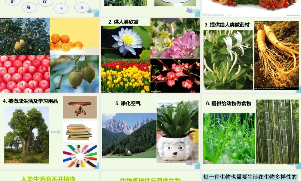 六年级科学上册 4.8 生物多样性的意义课件2 教科版-教科版小学六年级上册自然科学课件