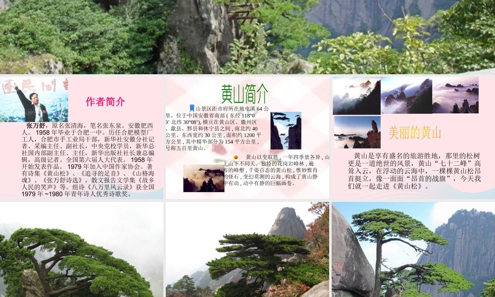 六年级语文上册 8.4 黄山松课件1 北师大版-北师大版小学六年级上册语文课件