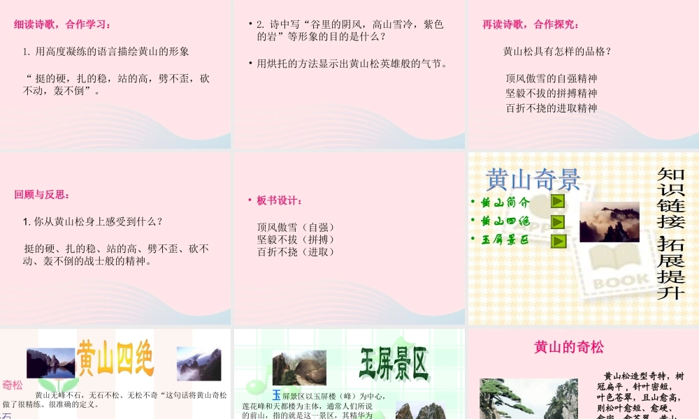 六年级语文上册 8.4 黄山松课件1 北师大版-北师大版小学六年级上册语文课件