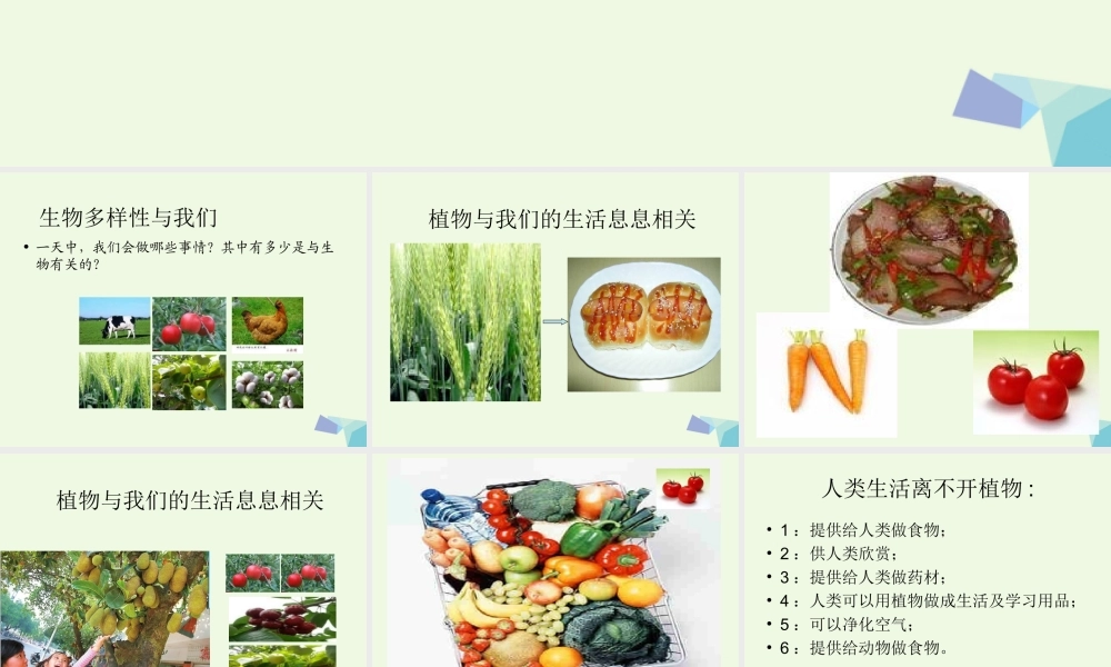 六年级科学上册 4.8 生物多样性的意义课件3 教科版-教科版小学六年级上册自然科学课件