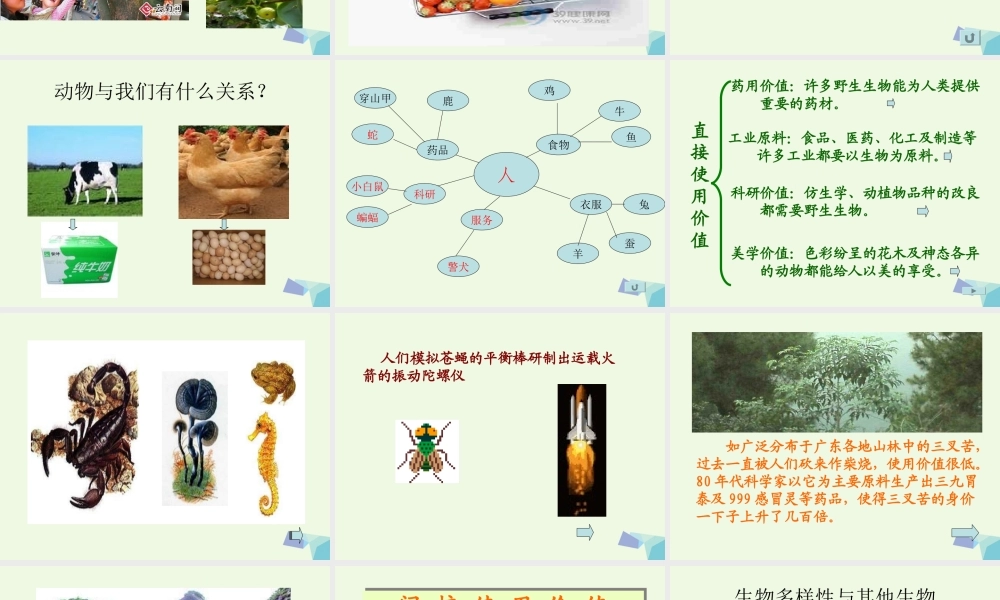 六年级科学上册 4.8 生物多样性的意义课件3 教科版-教科版小学六年级上册自然科学课件