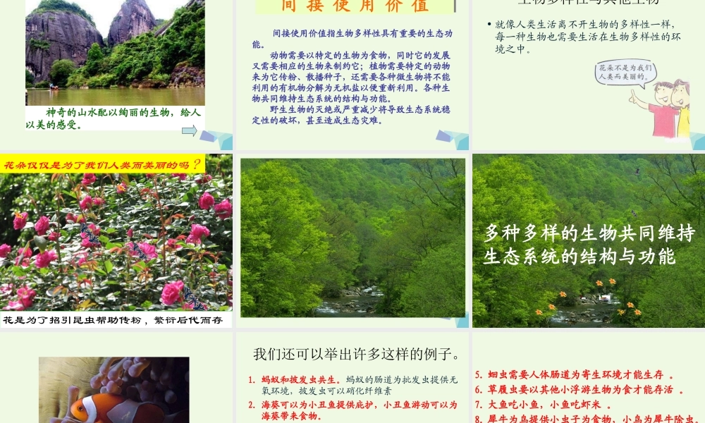 六年级科学上册 4.8 生物多样性的意义课件3 教科版-教科版小学六年级上册自然科学课件