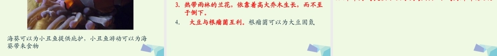 六年级科学上册 4.8 生物多样性的意义课件3 教科版-教科版小学六年级上册自然科学课件