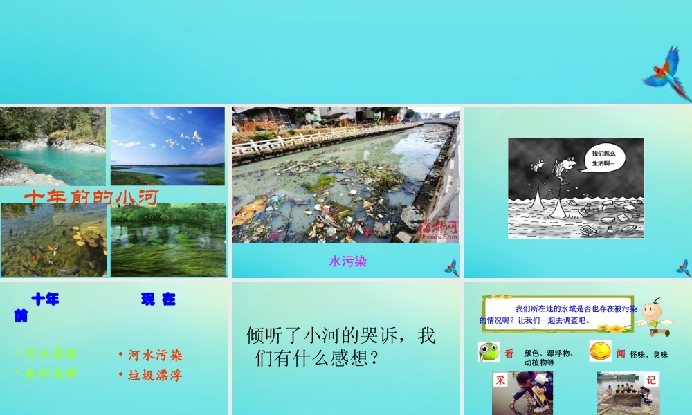 六年级科学下册 第2单元 水环境污染与保护 2.1 小河的“哭诉”课件 （新版）湘科版-人教版小学六年级下册自然科学课件