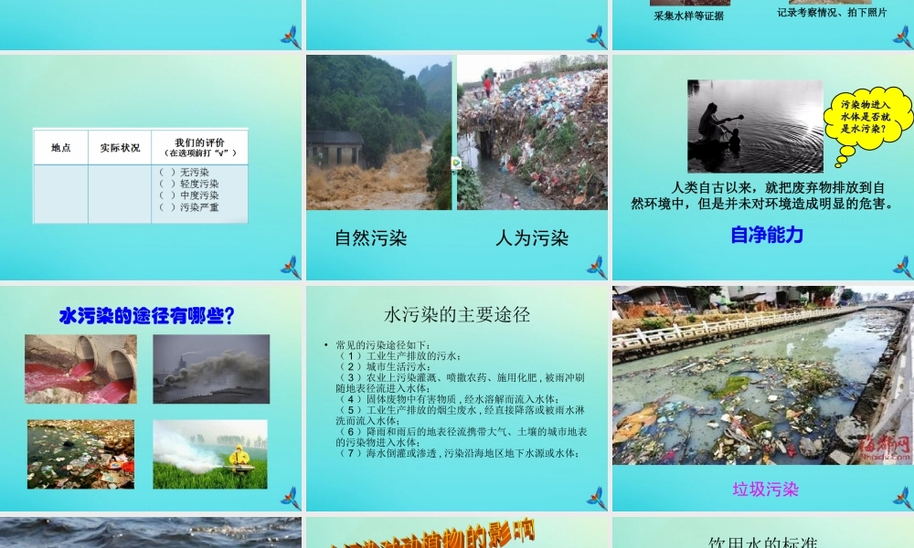 六年级科学下册 第2单元 水环境污染与保护 2.1 小河的“哭诉”课件 （新版）湘科版-人教版小学六年级下册自然科学课件