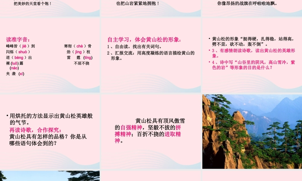 六年级语文上册 8.4 黄山松课件2 北师大版-北师大版小学六年级上册语文课件