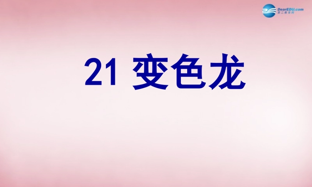 六年级科学上册 第5单元 21 变色龙课件8 青岛版