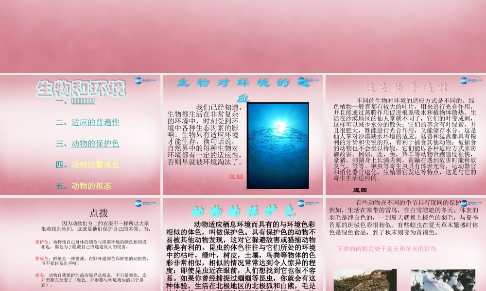 六年级科学上册 第5单元 21 变色龙课件9 青岛版