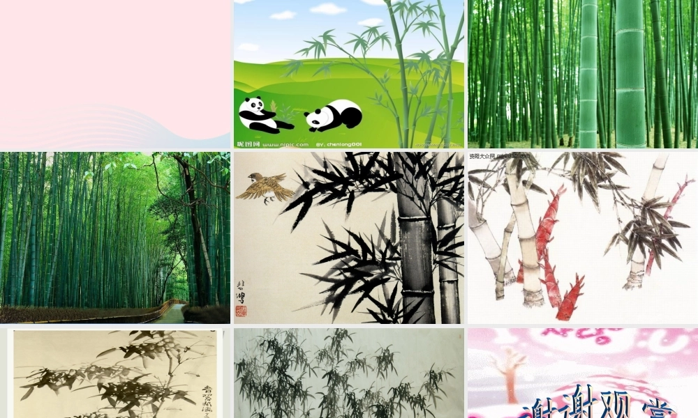 六年级语文上册 8.5 竹颂课件1 北师大版-北师大版小学六年级上册语文课件