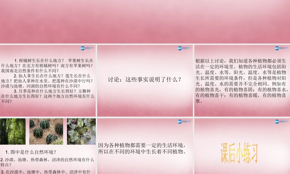 六年级科学上册 第5单元 22 植物向哪里生长课件1 青岛版