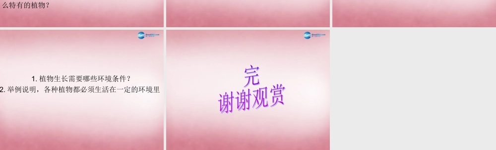 六年级科学上册 第5单元 22 植物向哪里生长课件1 青岛版