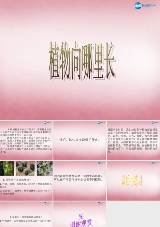 六年级科学上册 第5单元 22 植物向哪里生长课件1 青岛版