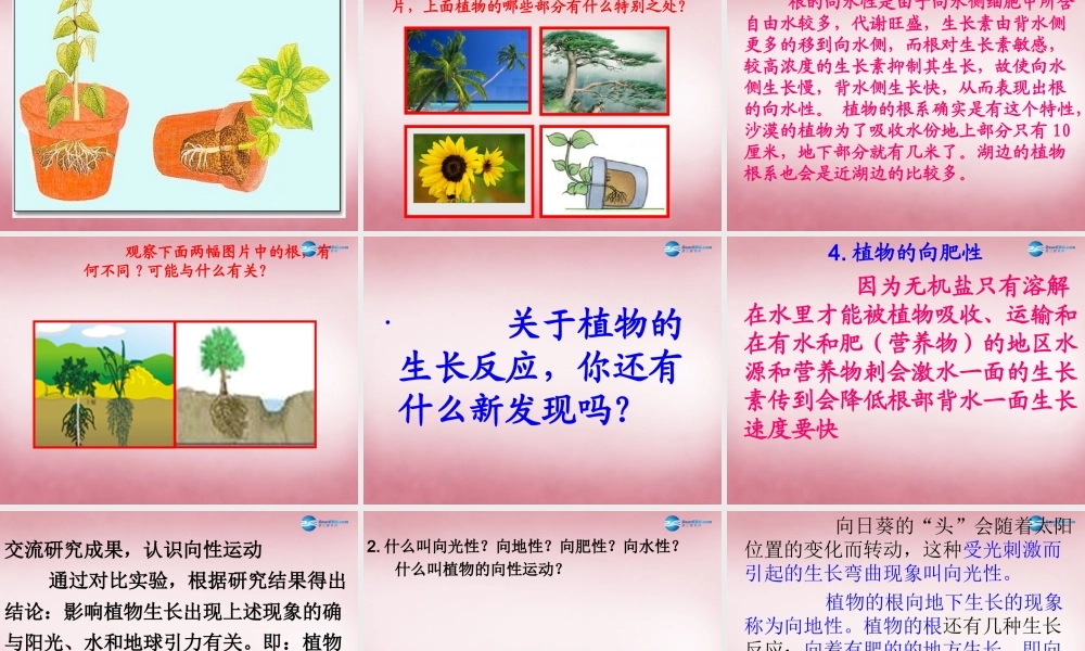六年级科学上册 第5单元 22 植物向哪里生长课件2 青岛版