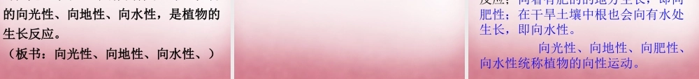 六年级科学上册 第5单元 22 植物向哪里生长课件2 青岛版