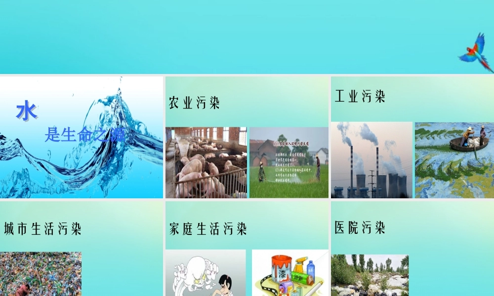 六年级科学下册 第2单元 水环境污染与保护 2.2 污染来自哪里课件2 （新版）湘科版-人教版小学六年级下册自然科学课件