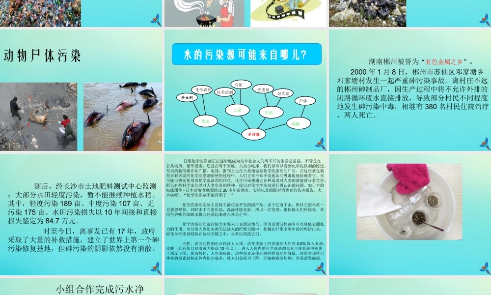 六年级科学下册 第2单元 水环境污染与保护 2.2 污染来自哪里课件2 （新版）湘科版-人教版小学六年级下册自然科学课件