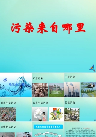 六年级科学下册 第2单元 水环境污染与保护 2.2 污染来自哪里课件2 （新版）湘科版-人教版小学六年级下册自然科学课件