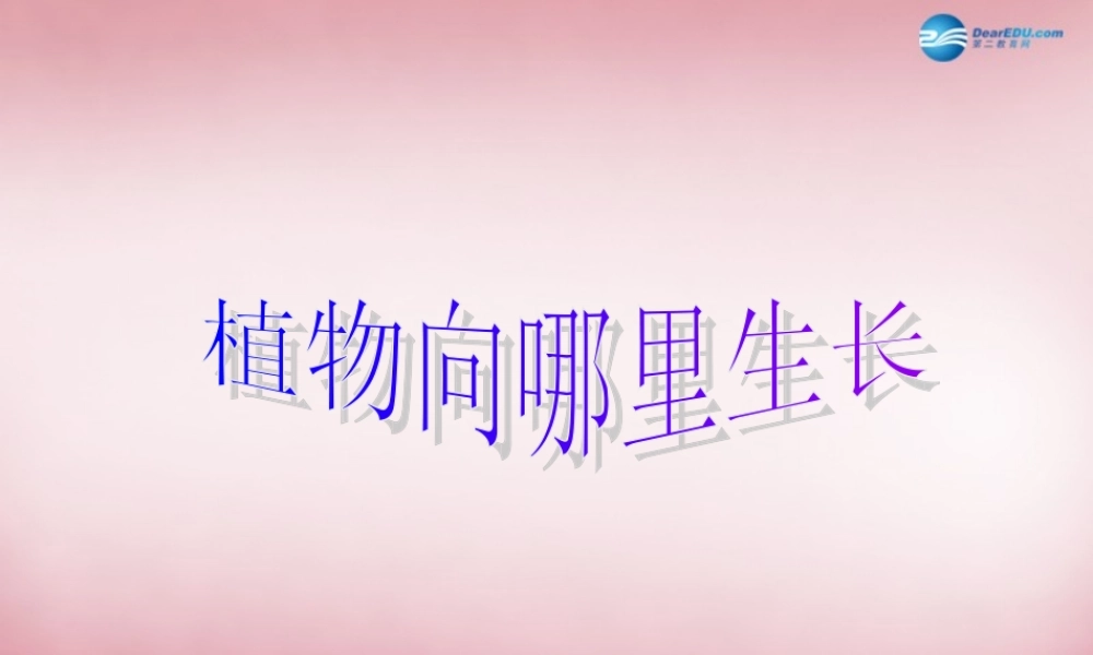 六年级科学上册 第5单元 22 植物向哪里生长说课课件 青岛版