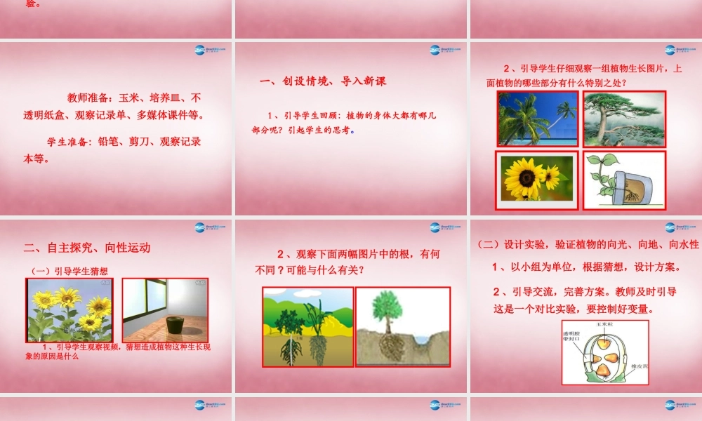 六年级科学上册 第5单元 22 植物向哪里生长说课课件 青岛版