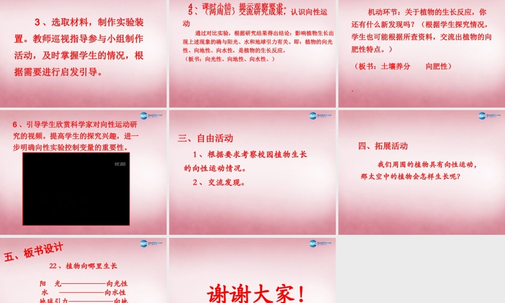 六年级科学上册 第5单元 22 植物向哪里生长说课课件 青岛版