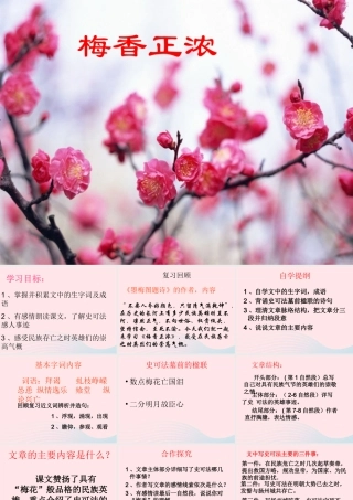 六年级语文上册 8.6 梅香正浓课件1 北师大版-北师大版小学六年级上册语文课件