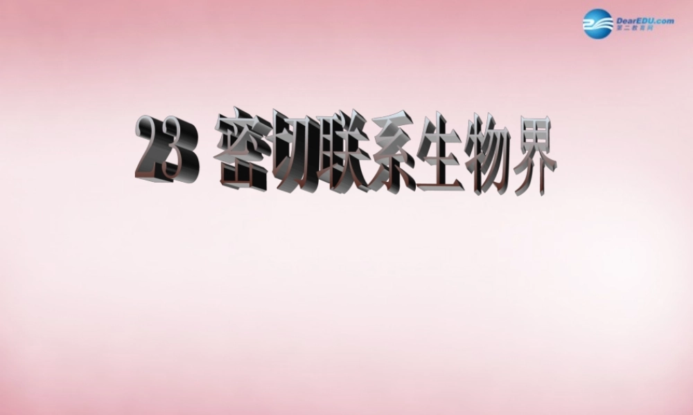 六年级科学上册 第5单元 23 密切联系的生物界课件1 青岛版