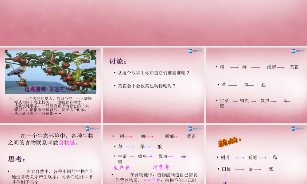 六年级科学上册 第5单元 23 密切联系的生物界课件1 青岛版