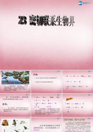 六年级科学上册 第5单元 23 密切联系的生物界课件1 青岛版