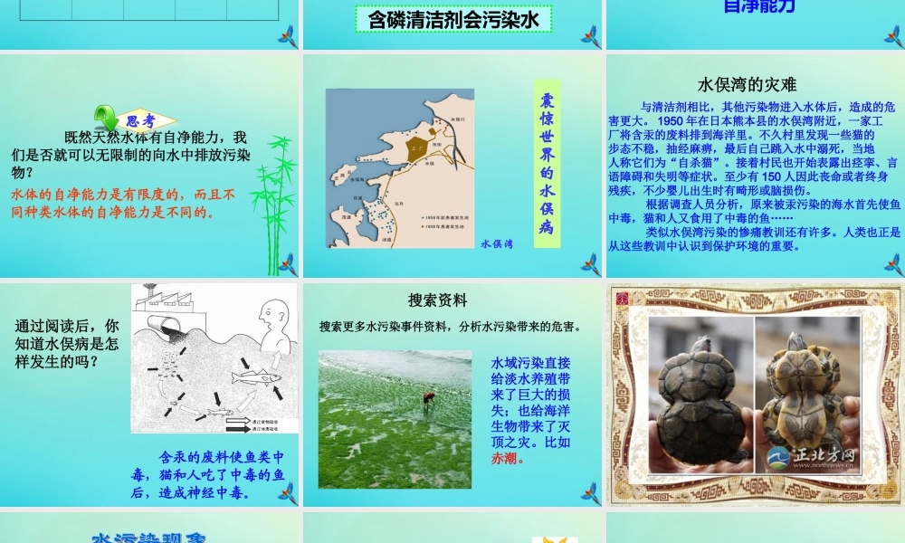 六年级科学下册 第2单元 水环境污染与保护 2.3 清洁剂的威力课件 （新版）湘科版-人教版小学六年级下册自然科学课件