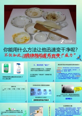 六年级科学下册 第2单元 水环境污染与保护 2.3 清洁剂的威力课件 （新版）湘科版-人教版小学六年级下册自然科学课件