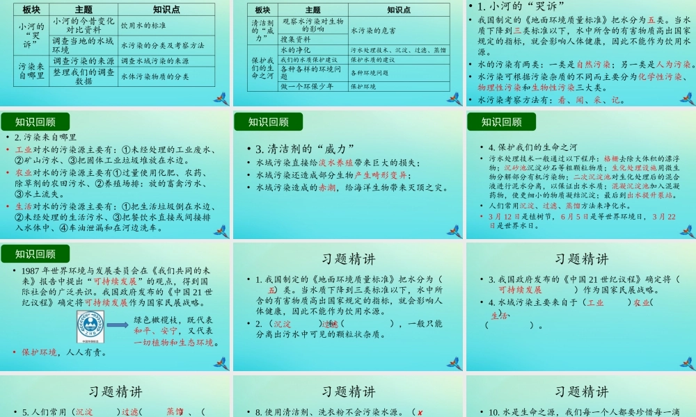六年级科学下册 第2单元 水环境污染与保护复习课件 （新版）湘科版-人教版小学六年级下册自然科学课件