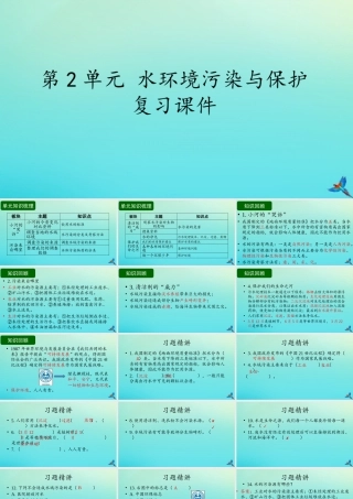 六年级科学下册 第2单元 水环境污染与保护复习课件 （新版）湘科版-人教版小学六年级下册自然科学课件