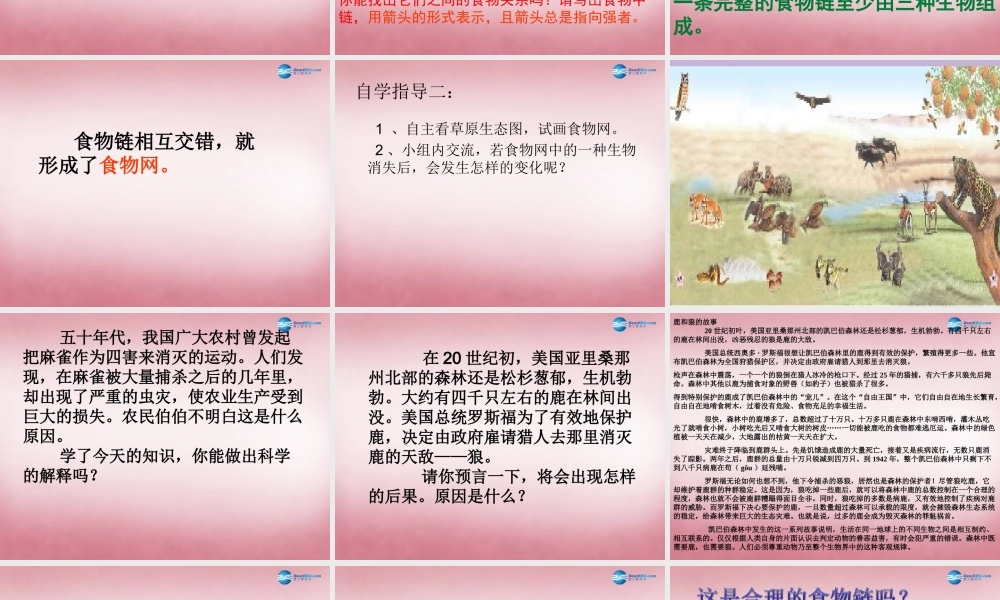 六年级科学上册 第5单元 23 密切联系的生物界课件3 青岛版