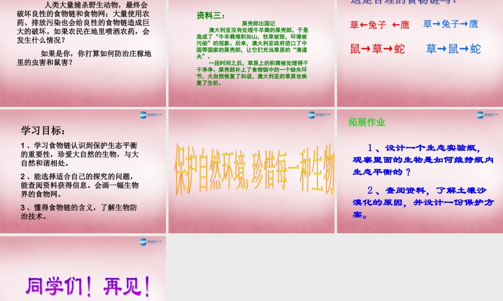 六年级科学上册 第5单元 23 密切联系的生物界课件3 青岛版