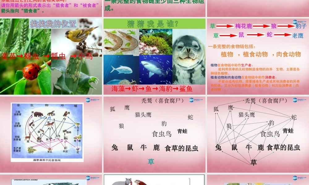 六年级科学上册 第5单元 23 密切联系的生物界课件4 青岛版