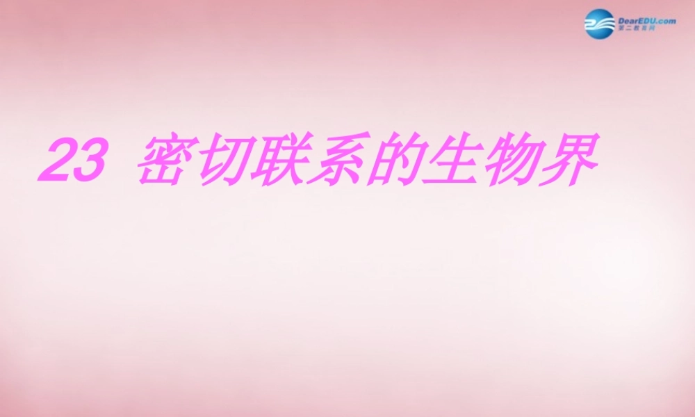 六年级科学上册 第5单元 23 密切联系的生物界课件5 青岛版