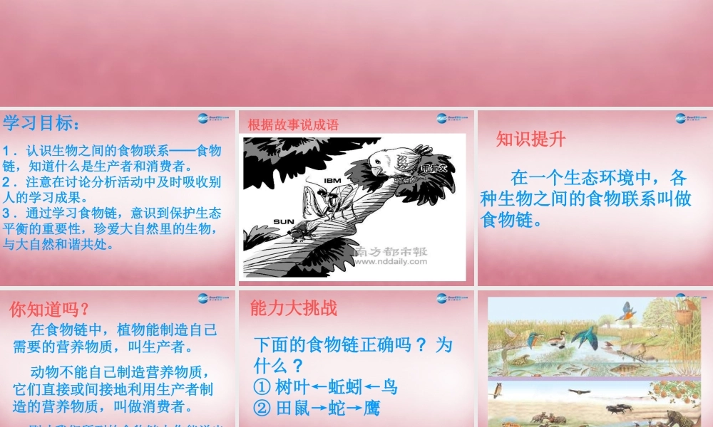 六年级科学上册 第5单元 23 密切联系的生物界课件5 青岛版