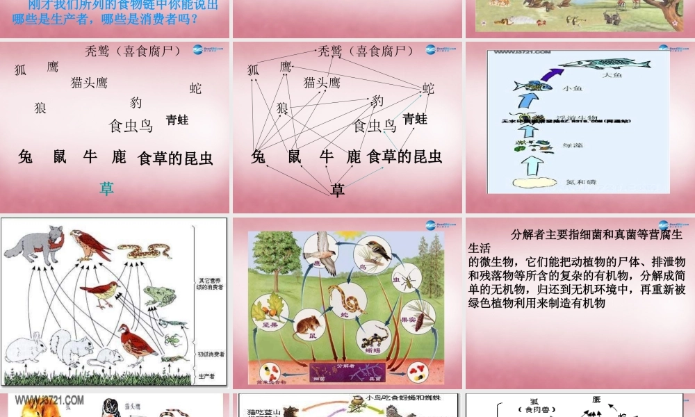六年级科学上册 第5单元 23 密切联系的生物界课件5 青岛版