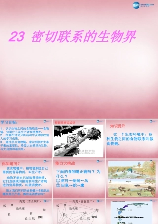 六年级科学上册 第5单元 23 密切联系的生物界课件5 青岛版