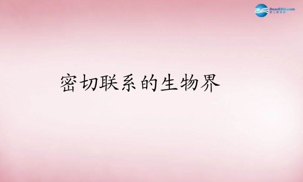 六年级科学上册 第5单元 23 密切联系的生物界课件6 青岛版